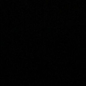 Meet your Posher, Peyton